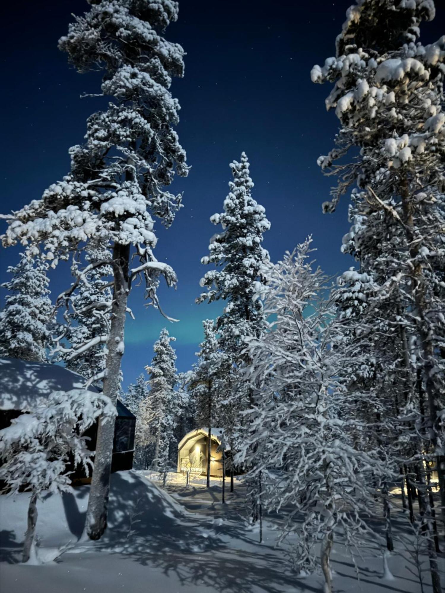 Aurora Queen Resort Igloos Saariselka Exteriér fotografie