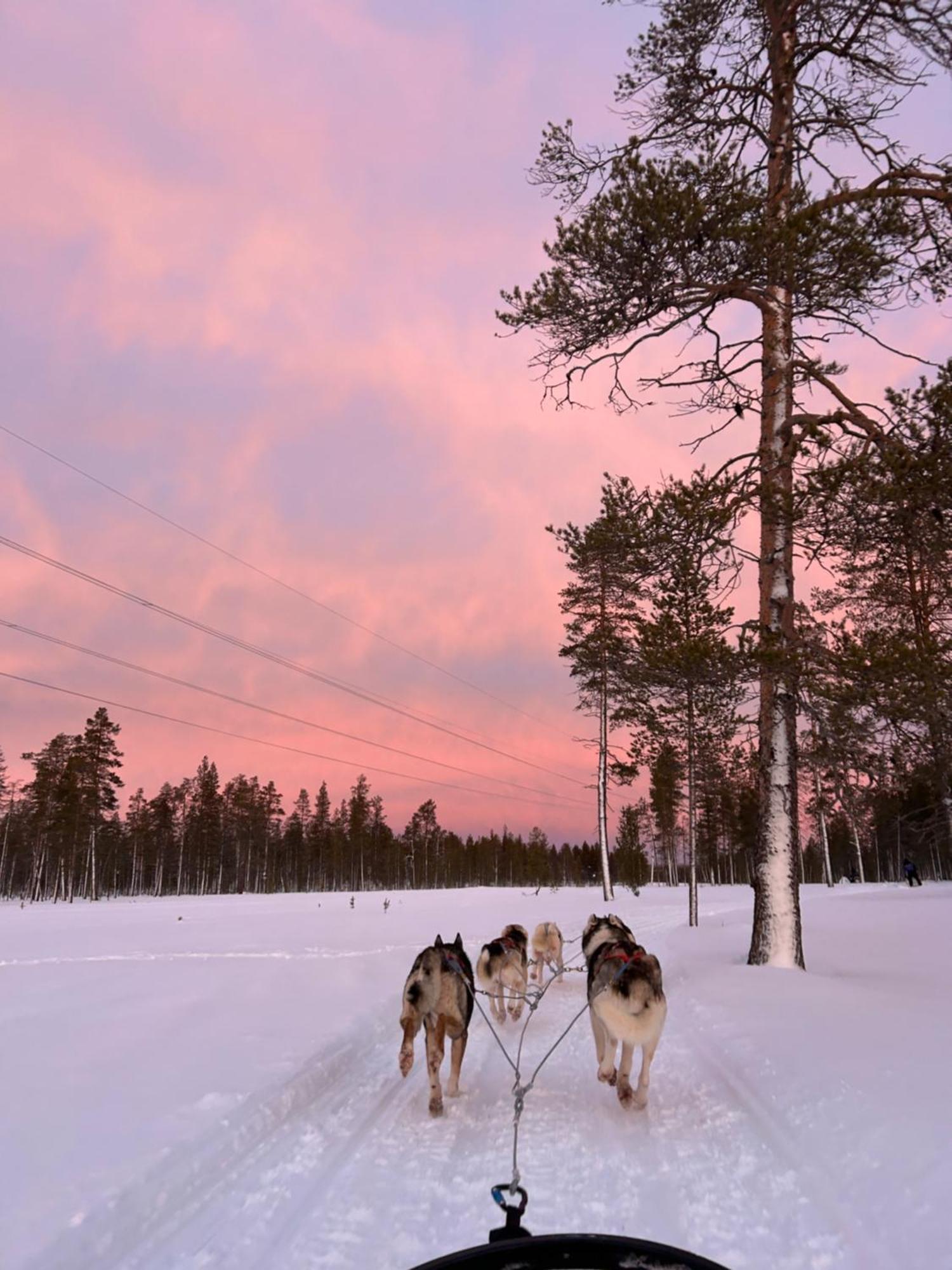 Aurora Queen Resort Igloos Saariselka Exteriér fotografie