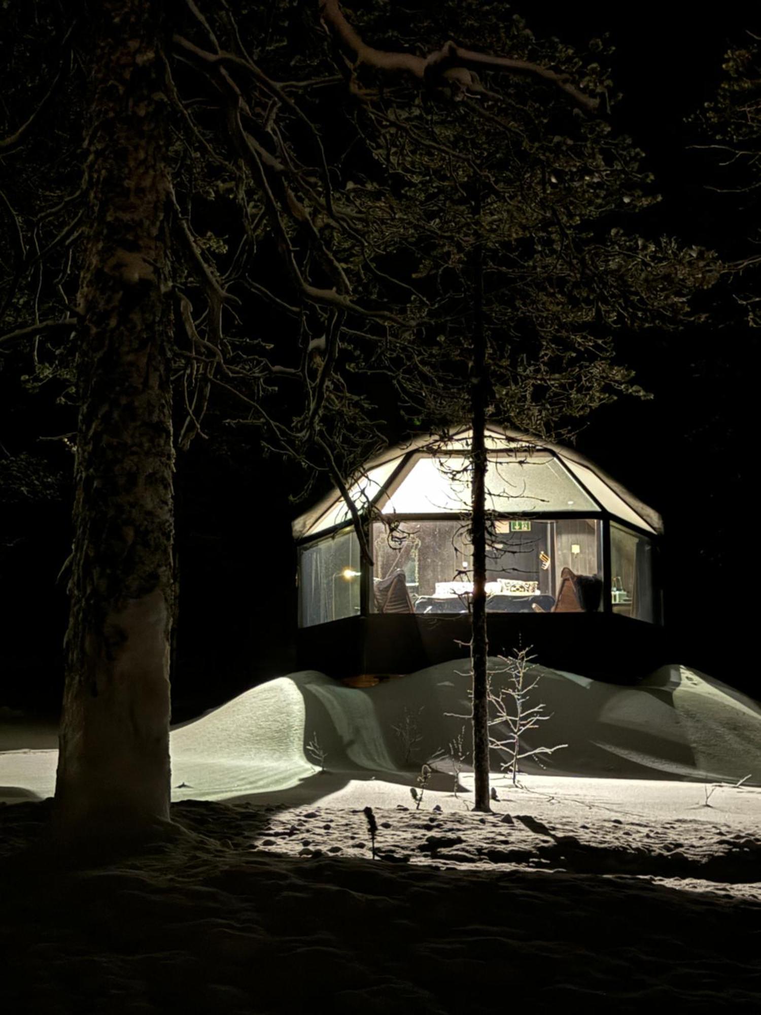 Aurora Queen Resort Igloos Saariselka Exteriér fotografie