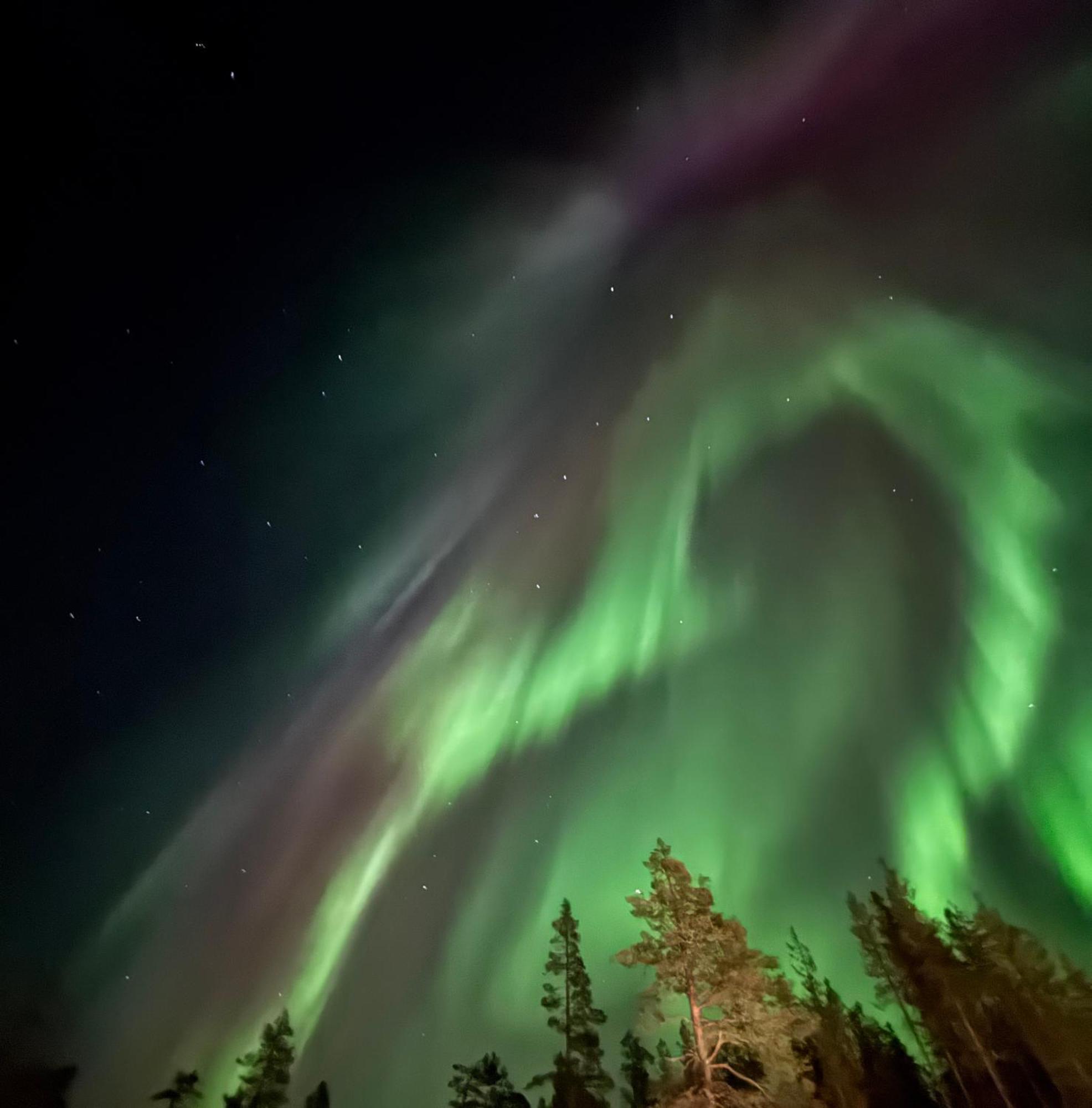 Aurora Queen Resort Igloos Saariselka Exteriér fotografie