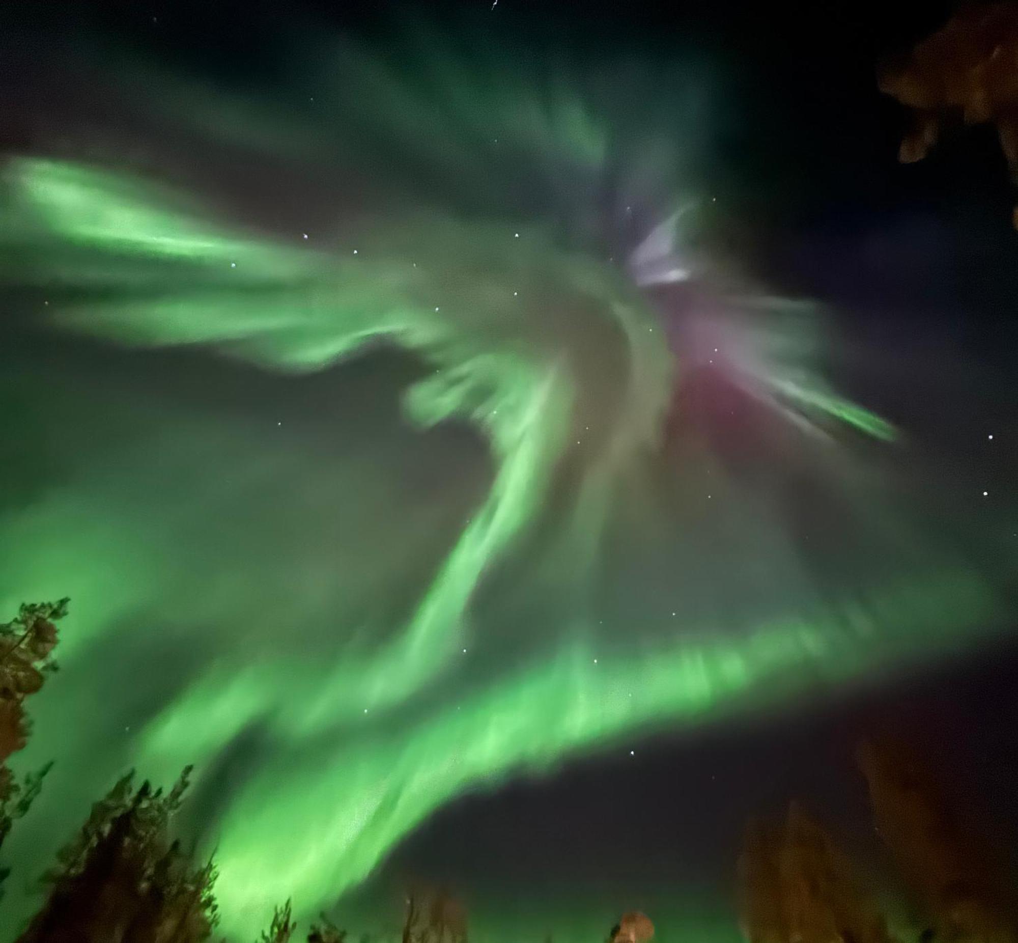 Aurora Queen Resort Igloos Saariselka Exteriér fotografie