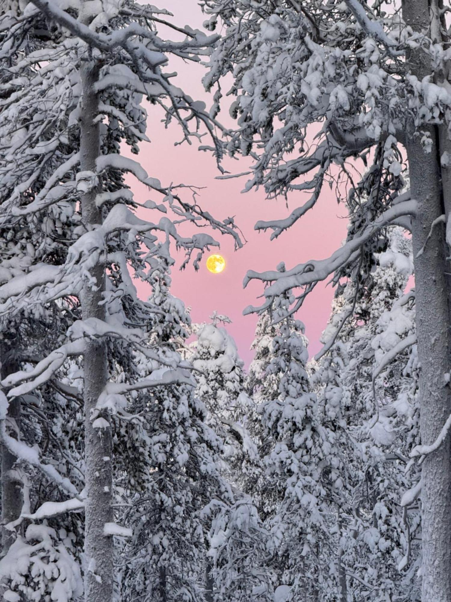 Aurora Queen Resort Igloos Saariselka Exteriér fotografie